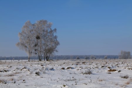 Ferbitzer Bruch with snow 2021-02-14 60
