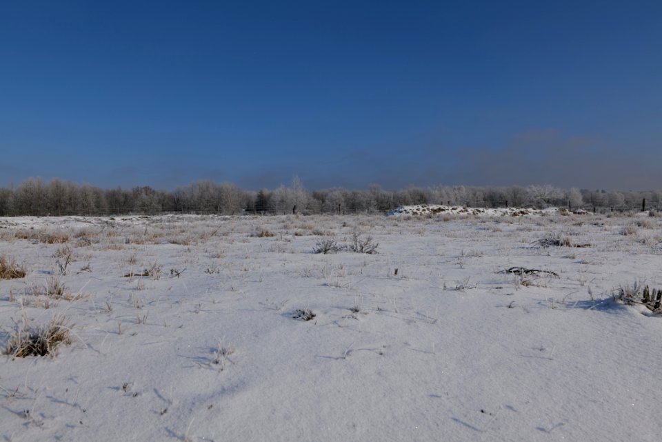 Ferbitzer Bruch with snow 2021-02-14 51