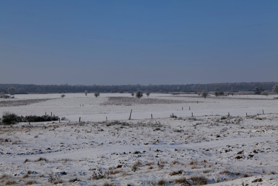 Ferbitzer Bruch with snow 2021-02-14 47