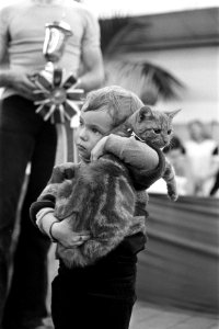 Felikat77 in RAI Amsterdam, winnaar Graaf Albrechts Ritole in de armen van Lydia, Bestanddeelnr 929-4028
