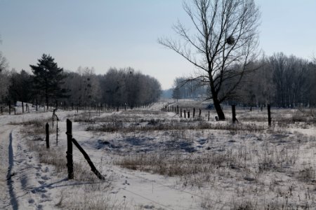Ferbitzer Bruch with snow 2021-02-14 79