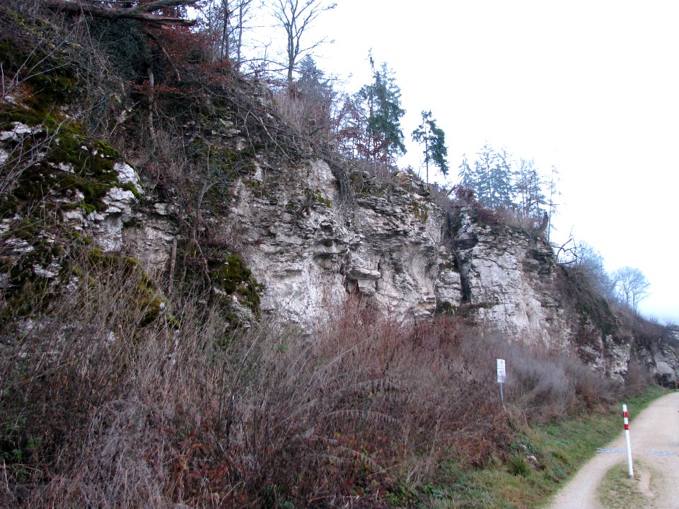 Felsprojekt Jura (3)