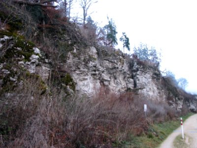 Felsprojekt Jura (3)