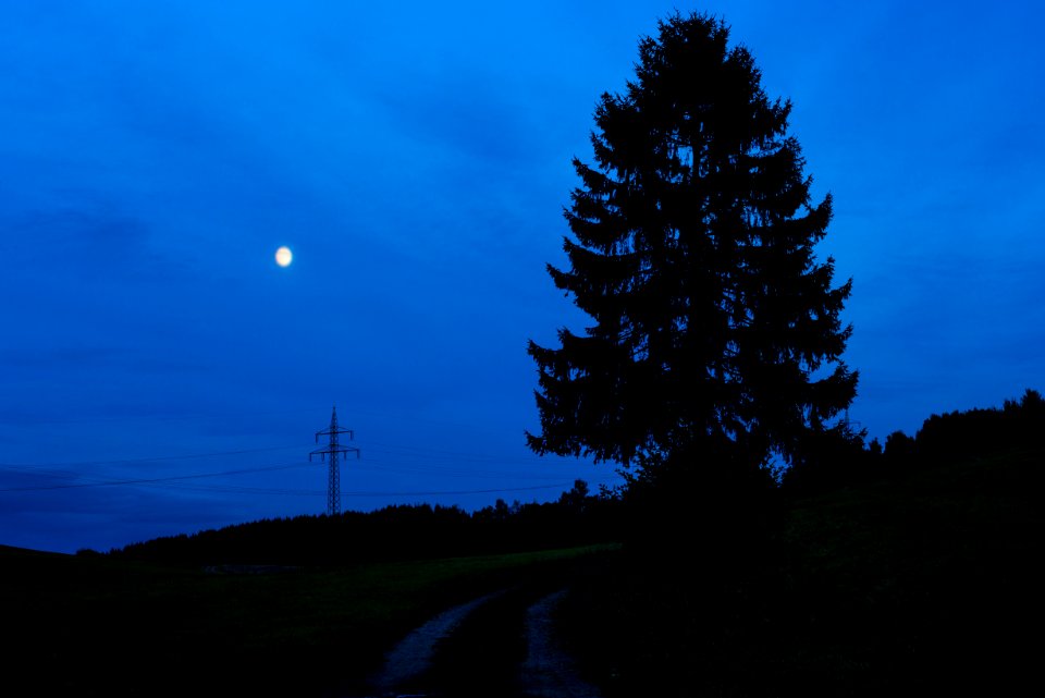 Feldweg südwestlich der L 3301, Hessen, Deutschland IMG 1797 edit