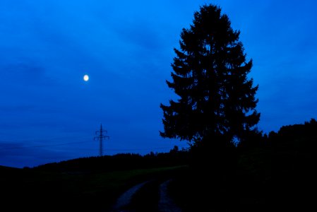 Feldweg südwestlich der L 3301, Hessen, Deutschland IMG 1797 edit