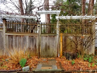 Fence with gate - Arlington, MA - 20200320 110010
