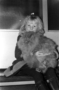 Felikat kattententoonstelling Amsterdam, meisje met kat, Bestanddeelnr 925-2296