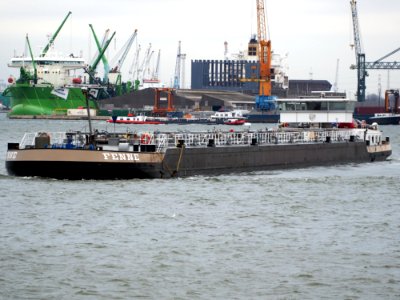 Fenne (ship, 2011), ENI 04809130, Port of Antwerp pic3