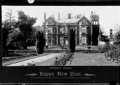Ferney Hall. Happy New Year (1293803)