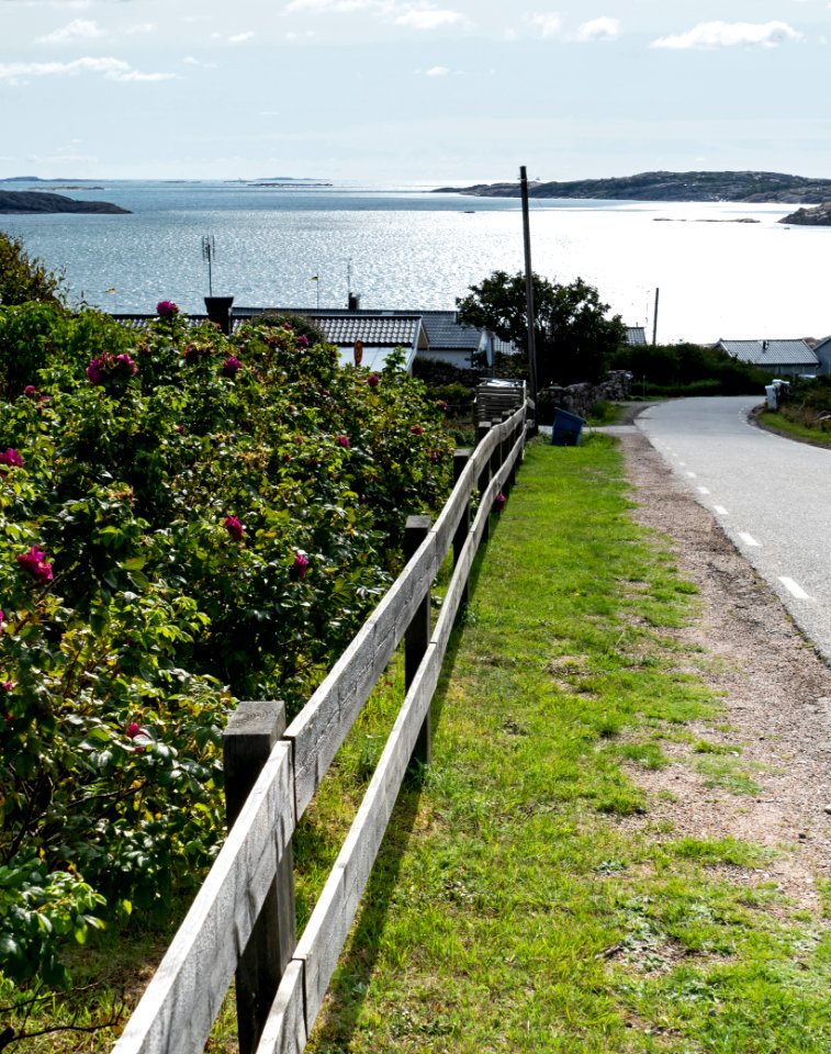 Fence and view in south Kolleröd