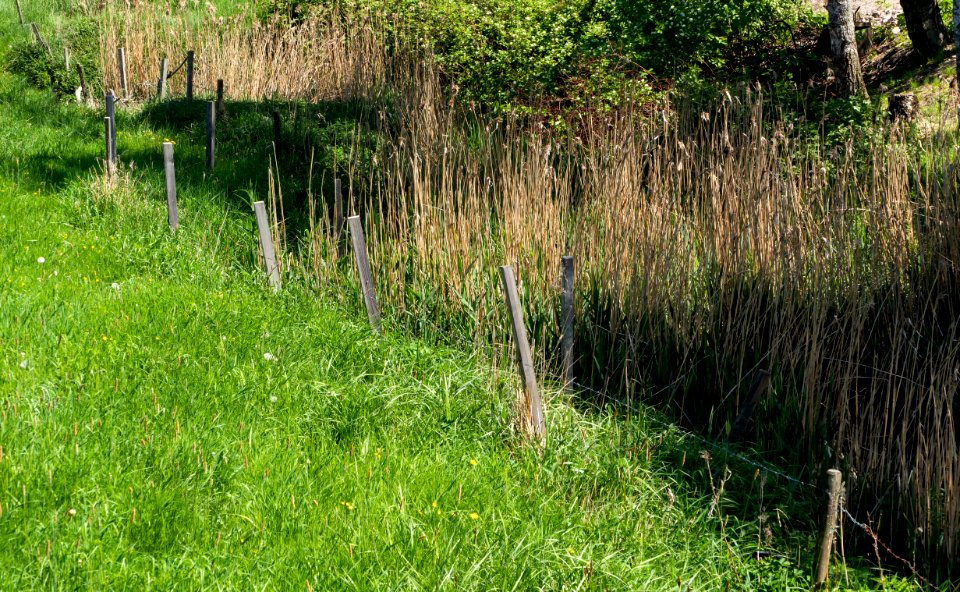 Fence along the shore of Broälven Nature Reserve