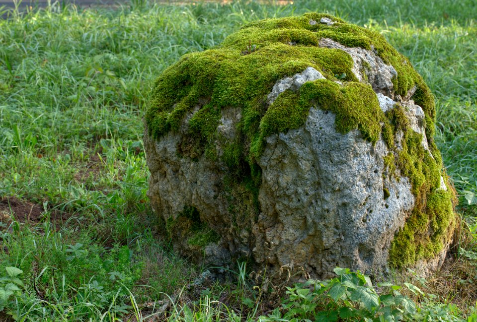 Felsblock, Waldgasthof Frau Holle, Hessen, Deutschland, IMG 1073 74 75 76 77 78 79 80 edit
