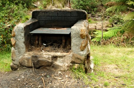 Fern-Glade-barbecue-20071225-007