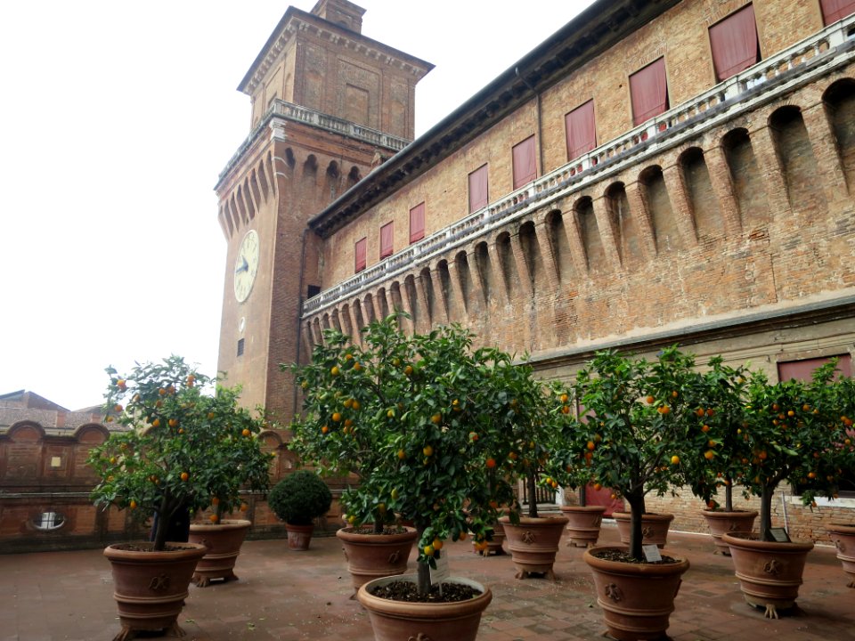 Ferrara Castello Estense 2
