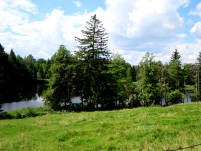 Fernweiher 1