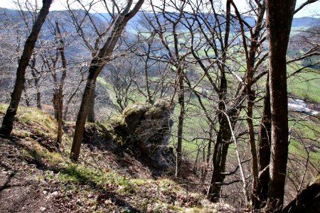 Felsen Wurmhalde 1