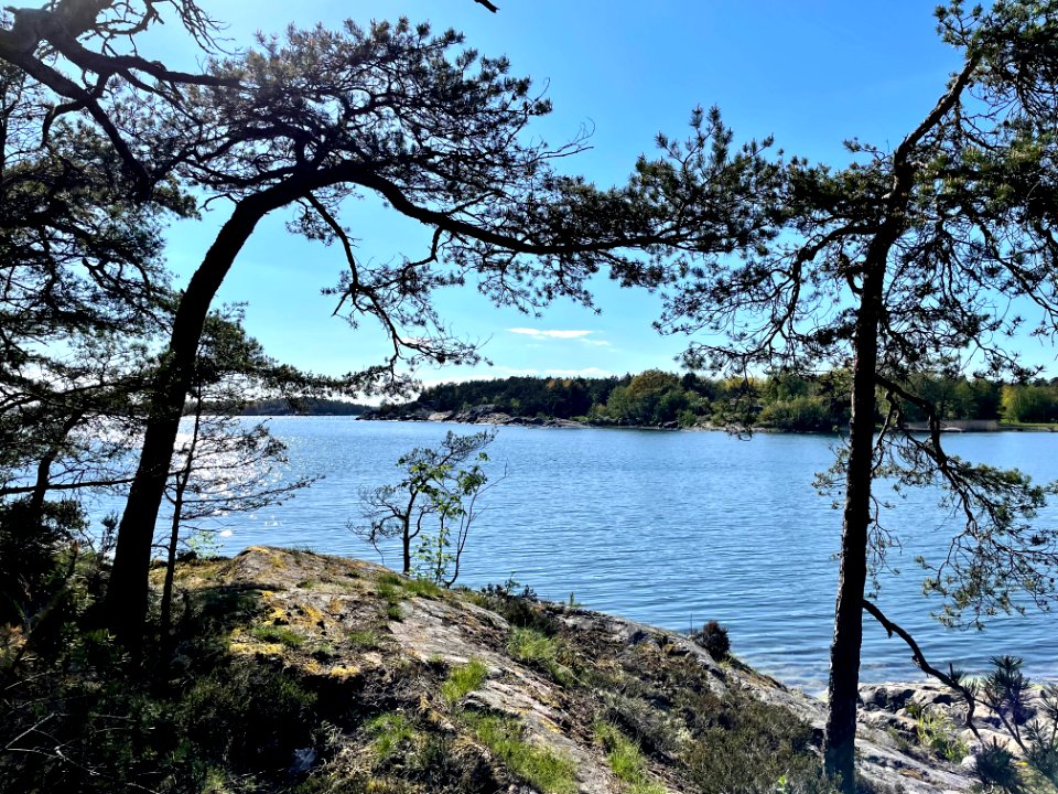 Femöre naturreservat