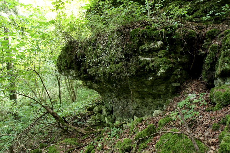 Felsdach Hohler Stein 01