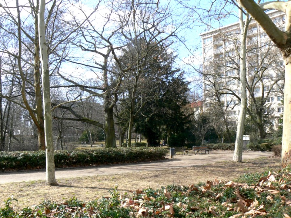 Ffm-Bockenheim-Bernus Park-519