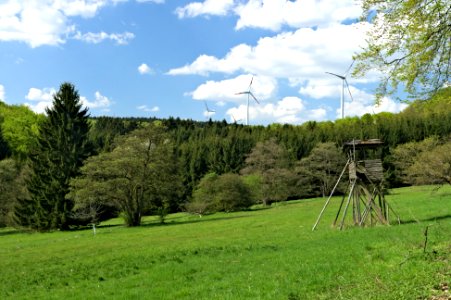 FFH Unterwesterwald bei Herschbach (02)