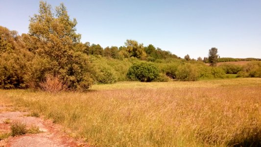 FFH-Gebiet Lappen bei Walldürn 4