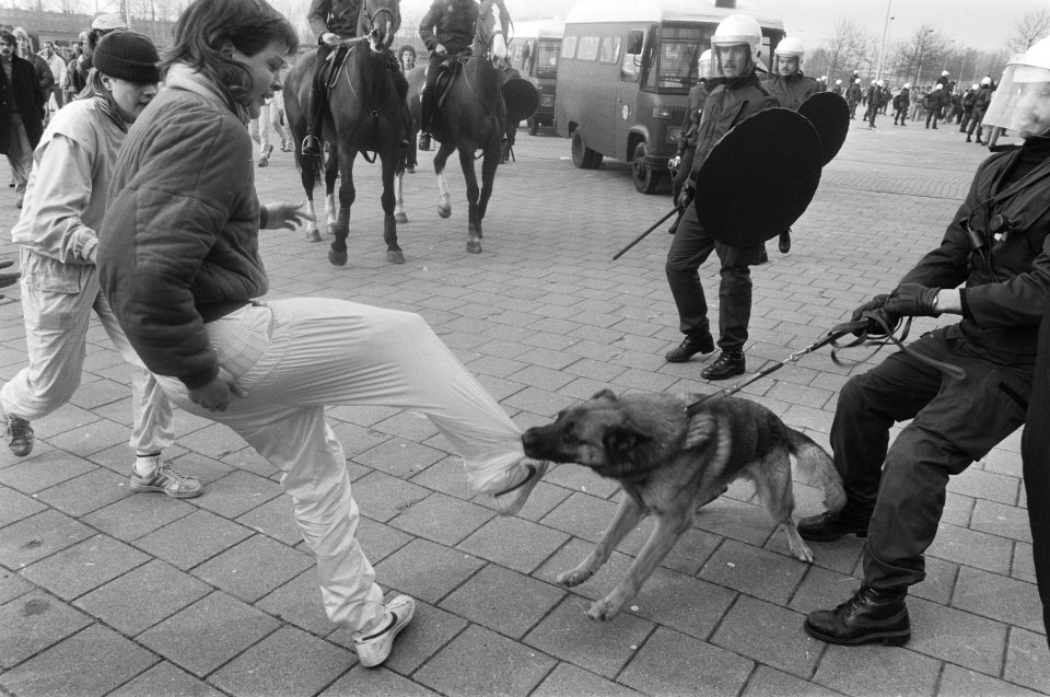 Feyenoord tegen FC Den Haag supporter wordt gebeten door een politiehond, Bestanddeelnr 933-9297