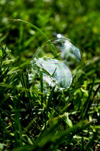 Bubble grass sphere photo