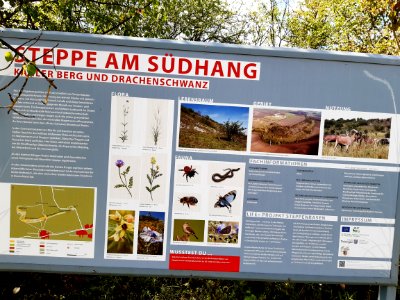 FFH-Gebiet Kahler Berg und Drachenschwanz bei Tunzenhausen