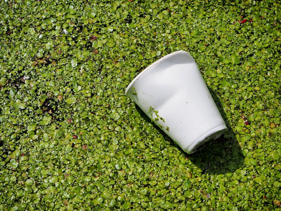 Garbage litter discarded