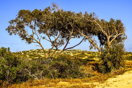 Scenery spring cavo greko photo