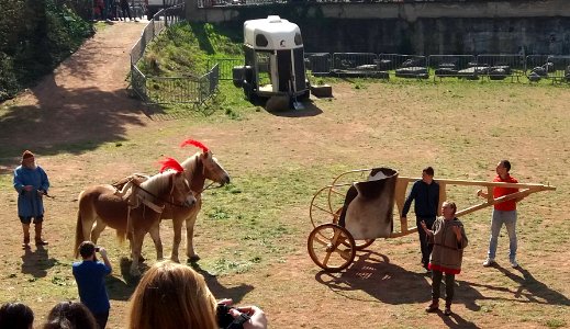 Festival européen latin grec 2019 - Reconstitution d'un char mycénien (7)