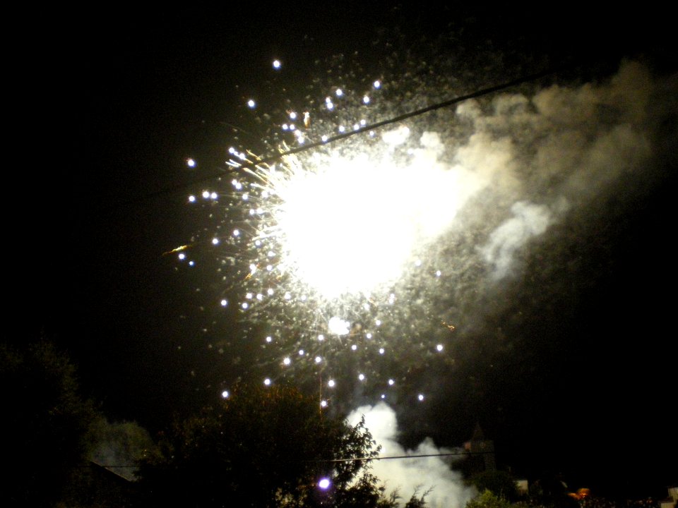 Festifolies 2012 31