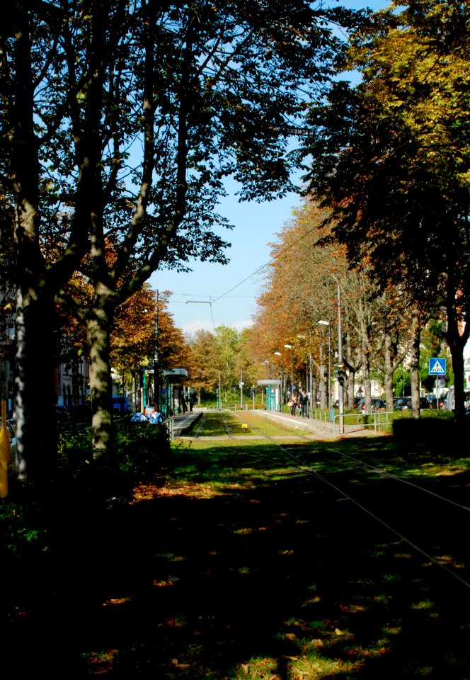 Ffm Hamburger Allee 37
