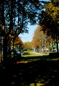 Ffm Hamburger Allee 37