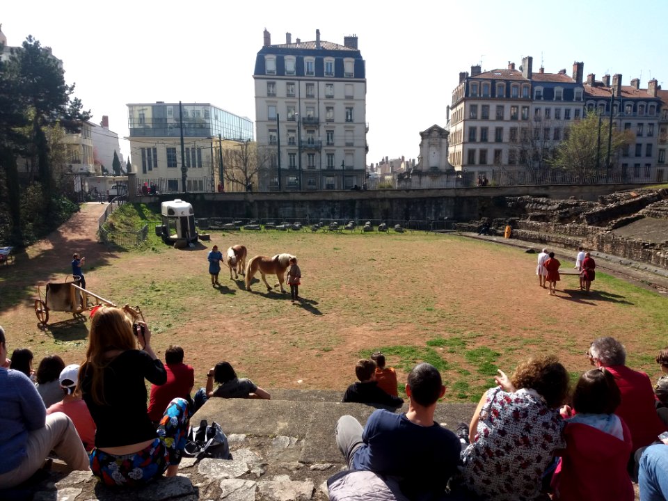 Festival européen latin grec 2019 - Reconstitution d'un char mycénien (1)