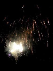 Festifolies 2012 38