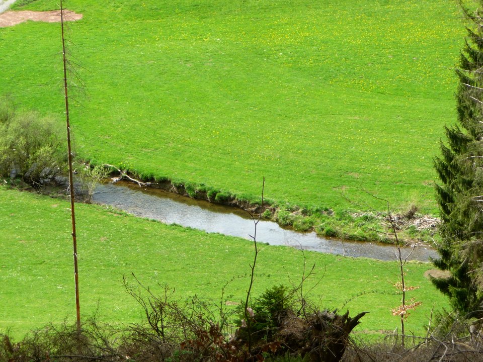 Feudingen 03