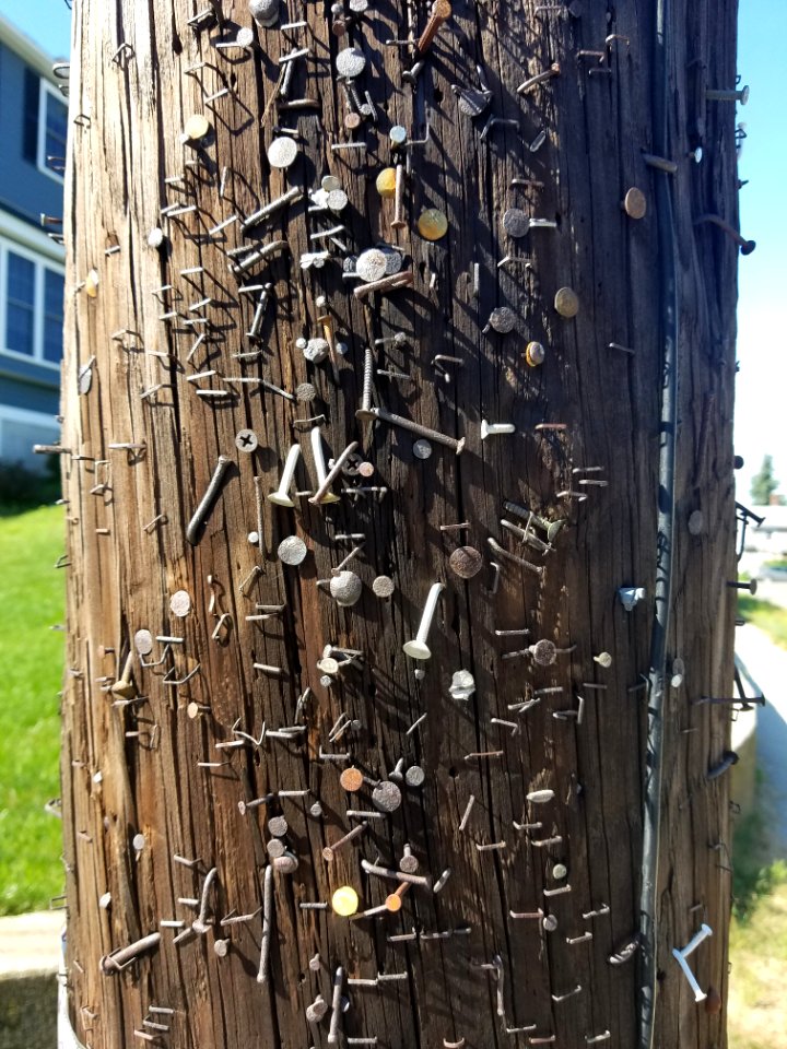 Fetish - Utility pole - Arlington, MA - 20200716 091720