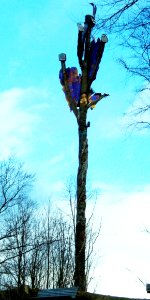 Feuereiche im Sauerland