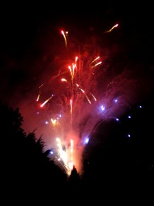 Festifolies 2012 40