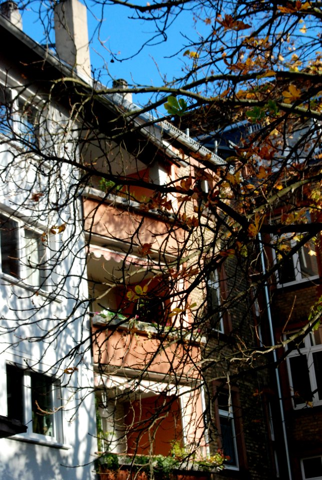Ffm Häusergasse 74