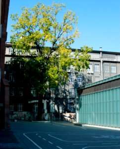 Ffm Hamburger Allee 63