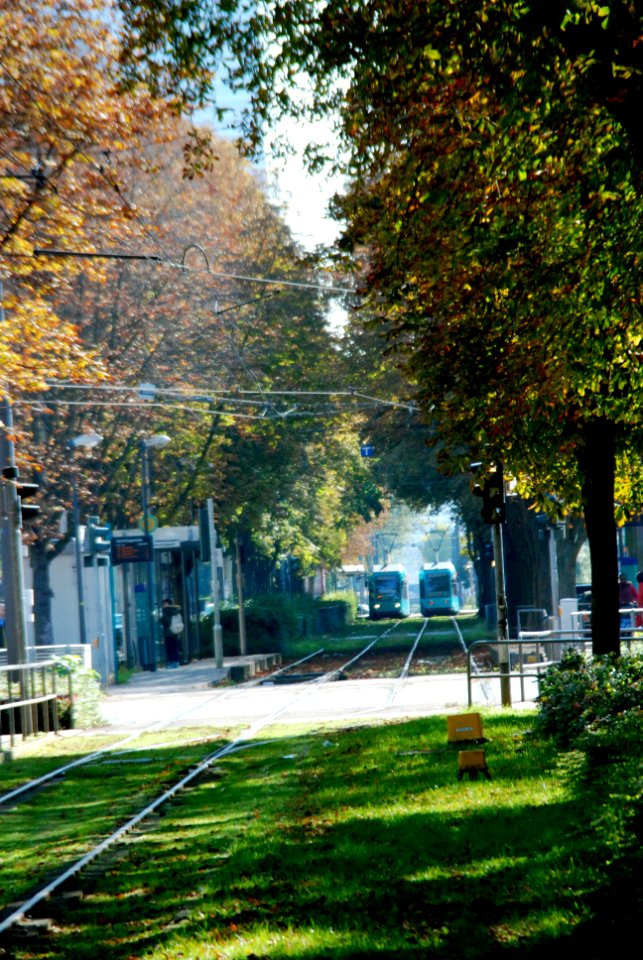 Ffm Hamburger Allee 38