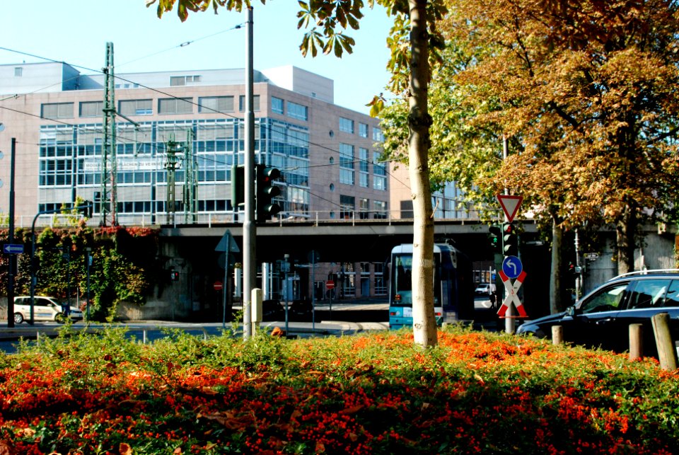 Ffm Hamburger Allee 76