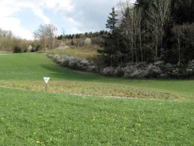 Feuchtgebiet Buchenschnäue
