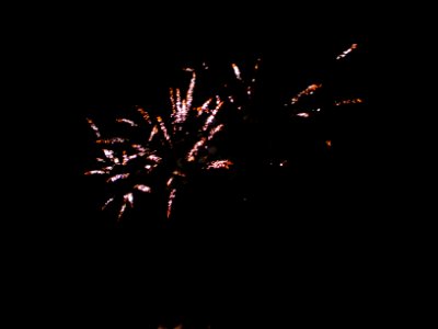 Festifolies 2011 27