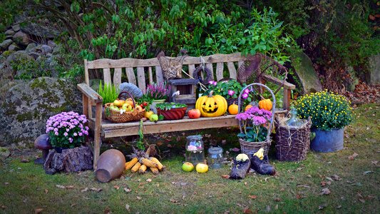 Decoration autumn decoration autumn