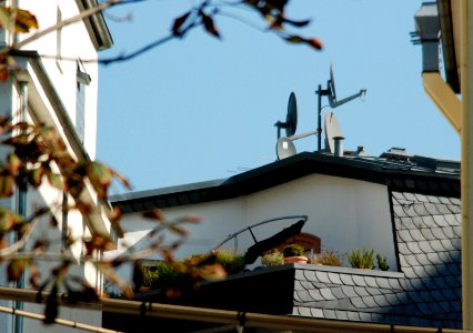 Ffm Hamburger Allee 47