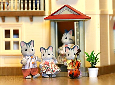 House violin stroll