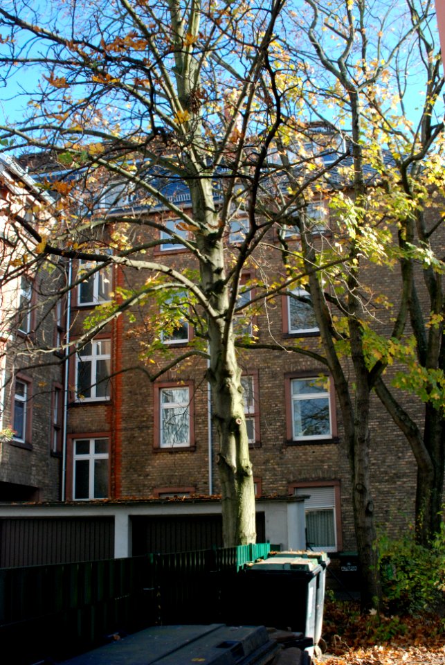 Ffm Häusergasse 72